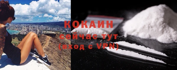шишки Магадан
