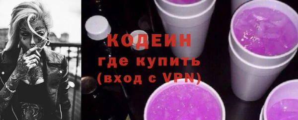 мдпв Каменка
