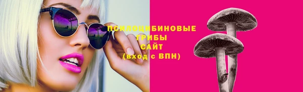 гашик Лагань