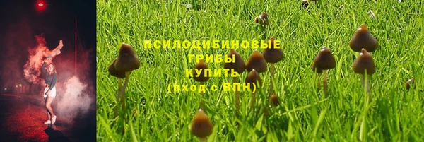 герыч Майский