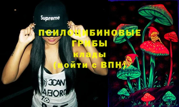 spice Лихославль