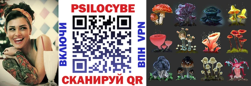 где можно купить   Магас  hydra вход  Псилоцибиновые грибы GOLDEN TEACHER 